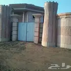 مقاول حجر اردني نخب اول جازان