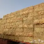 حراج اعلاف برسيم تبن ورودس وزره