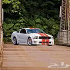 موستنج 2005 2009 كشف ادخل