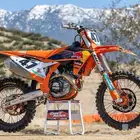 مطلوب دباب صحراوي