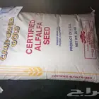 برسيم امريكي برسبم حصاوي
