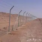 شبوك وحجر