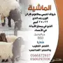 ذبايح نعيم