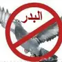 طارد للطيور 