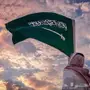 معقب مرور استبدال تجديد تغيير لون
