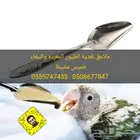 عرض ملاعق غر الطيور المغرده والببغاوات