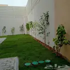 ثيل طبيعي سى 2000