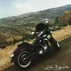 Fat boy lo هارلي فات بوي 2013