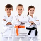 مدرب كاراتيه للتدريب الخاص