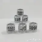 حجول حمام 2025