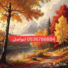 للايجار اليومي قسمين