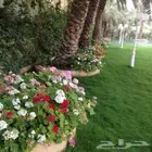 مهندس زراعي خبرة 25