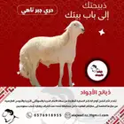 ( حري جذع كبير جبر ناهي )