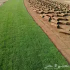 ثيل طبيعي صافي ونقي انجيله مزارع العثمان