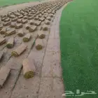 مزارع ابو بشرى التيل في 2000