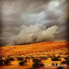 زهاب