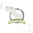 بيع وشراء جميع انواع البل