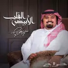 مصمم شيلات
