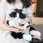 حقيبة