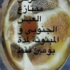 عرض جبار ع الأكلات الشعبية لمدة يوم