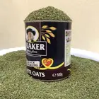 سنوت بلدي
