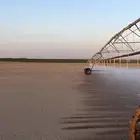 رشاش زراعي 3 ابراج للايجار