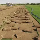 انجيله ثيل C2000 صافي درجه اولى من اجود الانواع