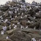 غرفة نوم