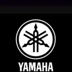 استيراد جميع انواع الاورقات