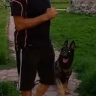 عروض علي التدريب
