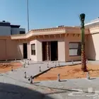 نخل واشنطن للبيع