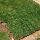 م ابو احمد تنسيق حدائق وتركيب جميع انواع الثيل الصناعى والطب