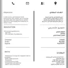 تصميم سيرة ذاتية