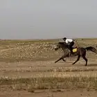 خيل