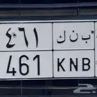 لوحة ب ن ك 461