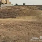 ارض للايجار في العمارية