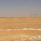 مطلوب أرض الغزالة   الشنان   بقعا