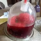 متخصص حجامة. رقية