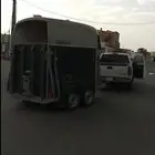 عربه خيل