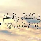 دباب 2014