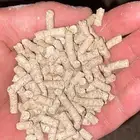 علف طيور وادي الدواسر