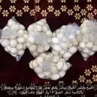بيض بلدي للآكل