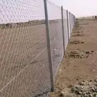 مقول نخل وشبوك