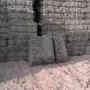 برسيم