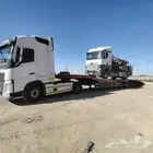 لوبد متواجد في الكهفة بريدة حائل