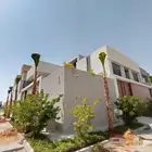 نخل واشنطن فاخر للبيع  على الشرط في الجوده