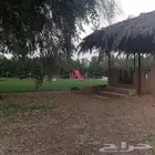 مزرعة الفهد للايجار اليومي