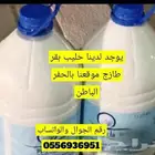 للبيع حليب بقر طازج يوميآ