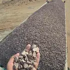 الجمله خرصان حصم مرو دفان