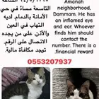 قط مفقود بالدمام